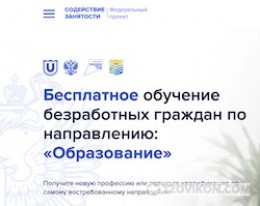 
                            Федеральный проект &laquo;Содействие занятости&raquo;
                         - отзывы